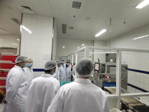 智能科技賦能民生服務(wù) 金豐餐飲自動化配餐與婚姻介紹服務(wù)的創(chuàng)新融合