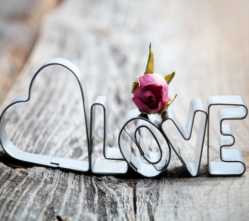 昆明好姻緣征婚服務中心 為什么越來越多的單身人士選擇婚介機構相親