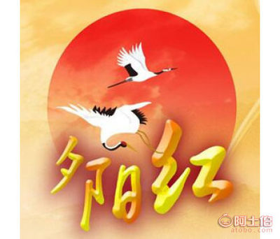 為愛續(xù)航，讓晚霞更美——記南昌心相印情系夕陽紅婚介服務(wù)