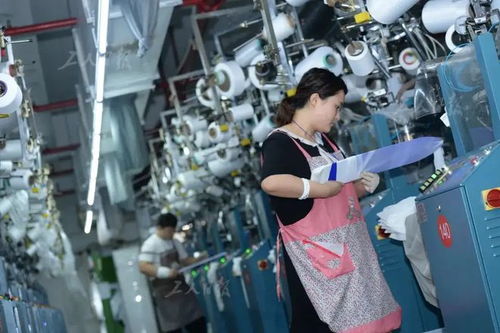 邊界與尊重 職場社交中的分寸與反思